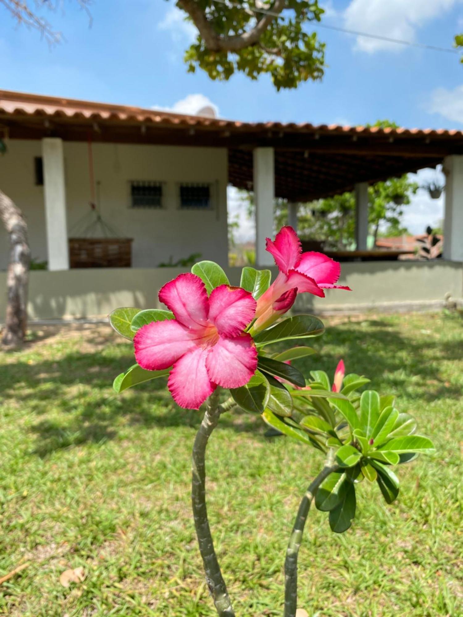 Chale A 4Km Do Centro Com Wi-Fi Villa Barreirinhas Buitenkant foto